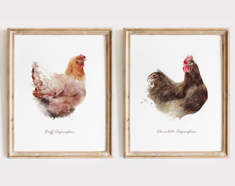 May include: Two framed watercolor prints of chickens. The left print shows a light brown Buff Orpington, and the right print shows a dark brown Chocolate Orpington. Each print features the breed name in black script text below the chicken illustration.