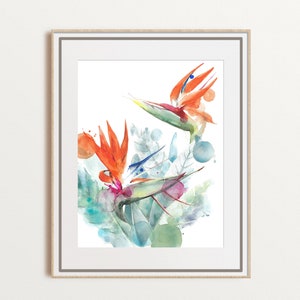 Bird of Paradise  watercolor art, strelitzia giclée print, tropical flowers wall art, floral artwork, beach home decor, large size, unframed