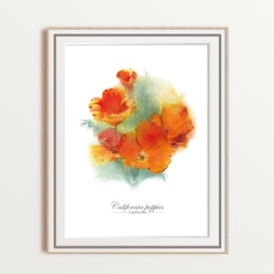 California Poppy Watercolor Print: Botanical Floral Wall Art