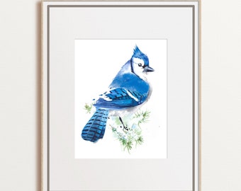 Blue jay watercolor art, winter bird painting, backyard bird wall art, gift for mom, farmhouse decor, Christmas gift, winter decor, unframed