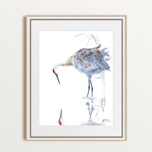 Sandhill crane watercolor art, bird art print, bird lover gift, neutral painting, large size, unframed