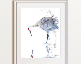 Sandhill crane watercolor art, bird art print, bird lover gift, neutral painting, large size, unframed