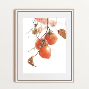 Persimmon fruits watercolor art, fall decor, botanical giclee print, Japanese wall decor, modern kitchen art, unframed