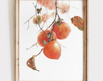 Persimmon Watercolor Print - Chinese Fruit Artwork - Kitchen Botanical Wall Art