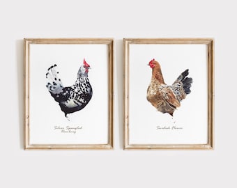 May include: Two framed wall art prints featuring watercolor illustrations of chickens. The left print shows a black and white Silver Spangled Hamburg, and the right print shows a brown and black Swedish Flower hen, both with text labels.