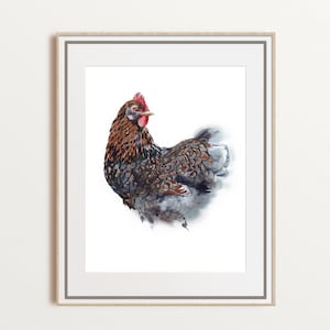 Chicken watercolor art, farm animal artwork, hen kitchen decor, chicken lover gift, Barnevelder breed, large size print, unframed