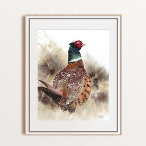 Pheasant watercolor art, game bird fine print , Father&#39;s day gift, bird illustration, large size unframed print