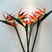see more listings in the DIY Flower Supplies section