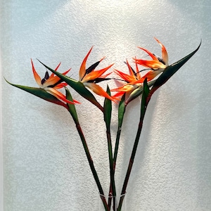 Peut inclure: Un bouquet de fleurs d'oiseau de paradis orange et vertes dans un vase en verre transparent.