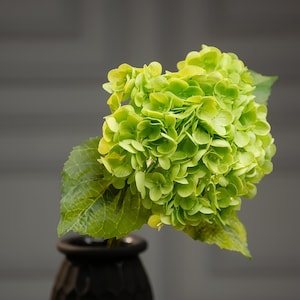 Create Breathtaking Wedding Table Decor and Home Floral Accents with Our Real Touch Green Hydrangea Stem, 21 Inches of High-Quality Artificial Beauty.