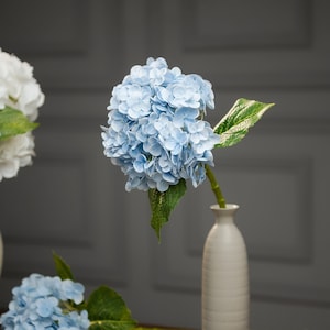 May include: A light blue hydrangea flower arrangement in a white ceramic vase. The vase has a textured surface and a narrow neck. The hydrangea is in full bloom and has a delicate, airy appearance.