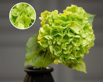 Real Touch Tallo de hortensia verde 21 "Flor artificial Centro de mesa Decoración de mesa de boda Hogar DIY Decoración floral Hortensia falsa de alta calidad