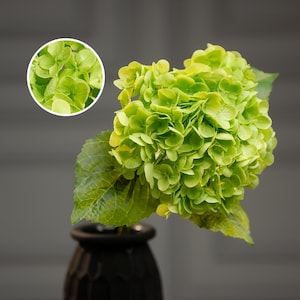 Peut inclure: Un arrangement de fleurs d'hortensia vert dans un vase texturé noir. La fleur est en pleine floraison et a une apparence douce et délicate.