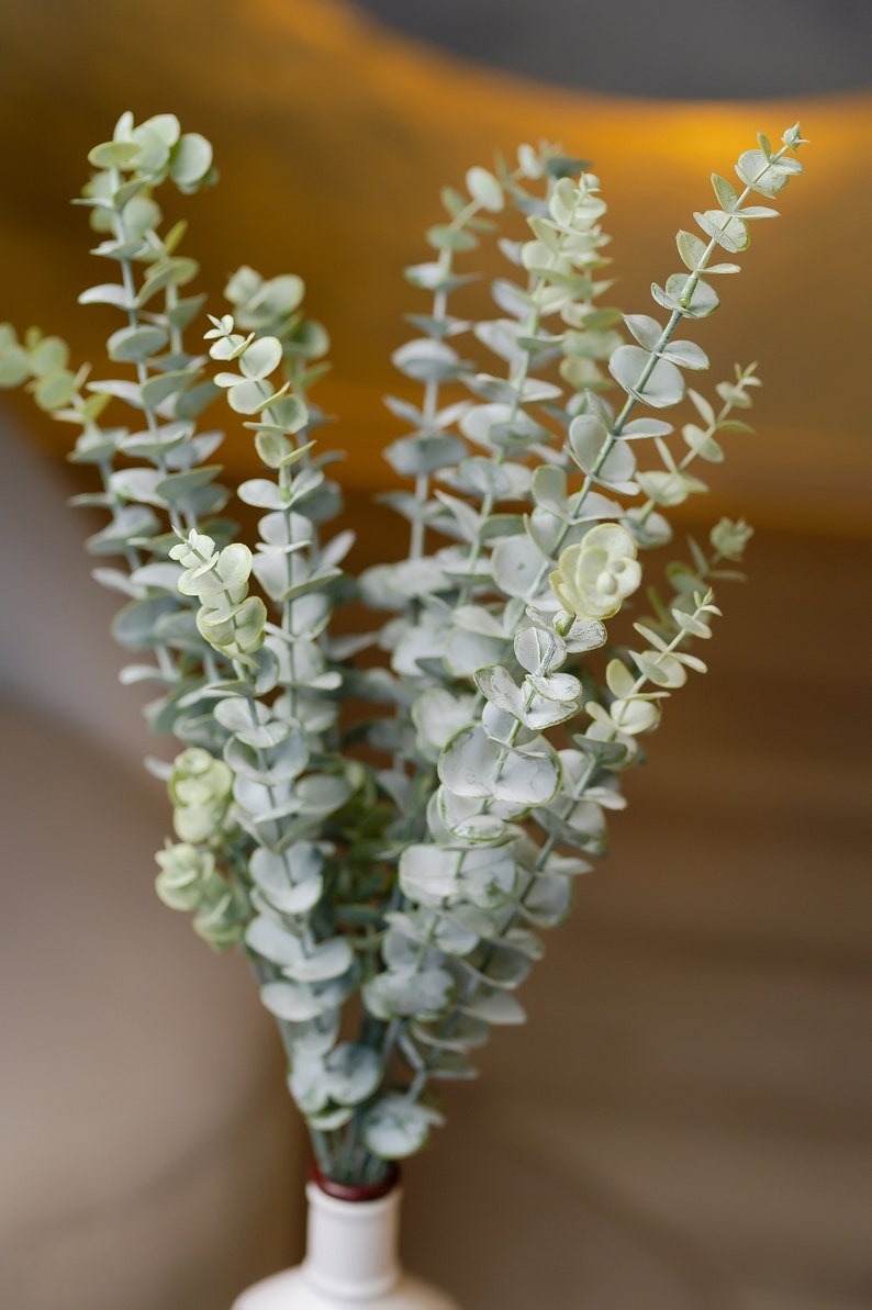 Discover the elegance of our Extra-Long Frosted Eucalyptus Branch, a high-quality artificial flower that adds a touch of greenery to any coffee table or wedding setting.