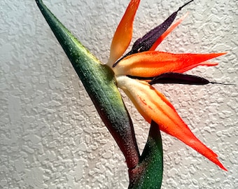 Echter Touch Paradiesvogel Stem Premium Gefälschte Rote Strelitzia Künstliche Tropische Blume Herzstück Blumendekoration Hochzeit Tischdekoration