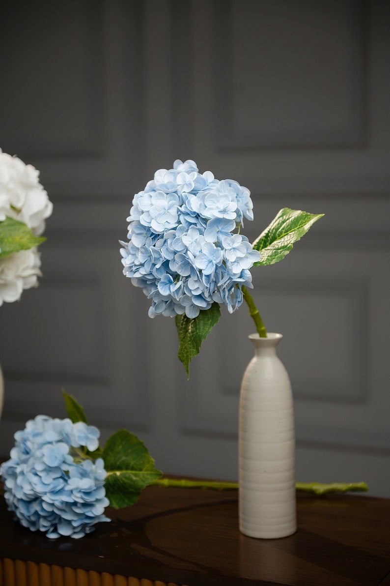 May include: A light blue hydrangea flower arrangement in a white ceramic vase. The vase has a textured surface and a narrow neck. The hydrangea is in full bloom and has a delicate, airy appearance.