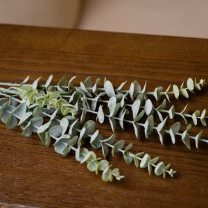 Impress guests with the sophisticated look of this Frosted 35" Eucalyptus Branch, a premium artificial greenery that brings life to any coffee table or wedding venue.