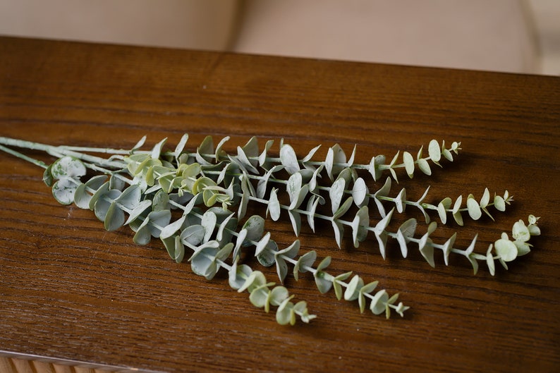 Impress guests with the sophisticated look of this Frosted 35" Eucalyptus Branch, a premium artificial greenery that brings life to any coffee table or wedding venue.