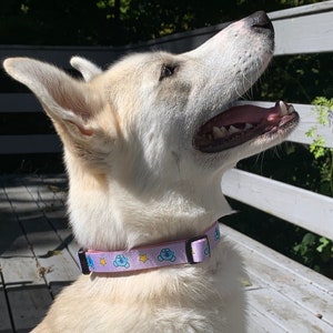 Koya Collar Sets/BT21 inspired/cute leash bow/purple dog collar/BT21 dog collar/Koya inspired/Koya dog collar/dog leash