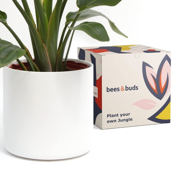 Bees & Buds 10 inch White Plant Pot - White Planters for Indoor Plants - Ceramic Planter Pots with Drainage  Mid Century Modern Plant Holder