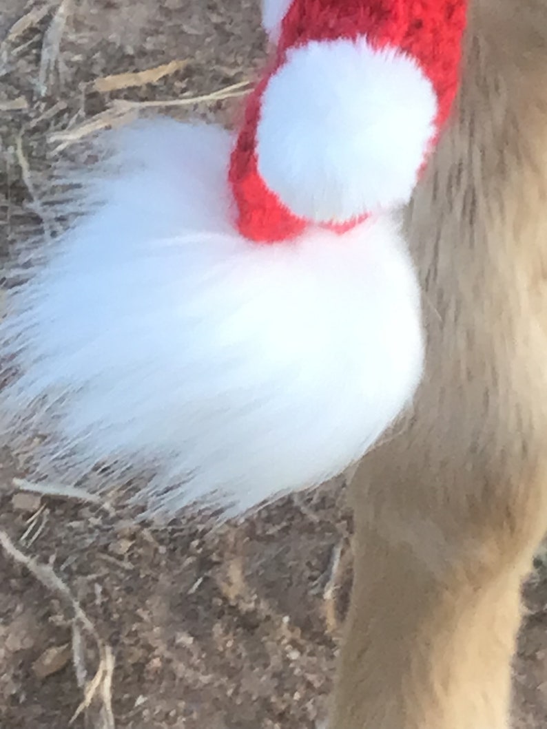Op de afbeelding: Een pluche witte staart met een rood-witte gebreide band eromheen.
