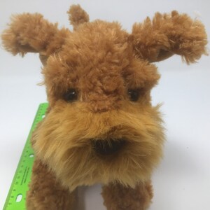 May include: A brown plush toy dog with a fluffy texture. The dog has brown eyes and a black nose.