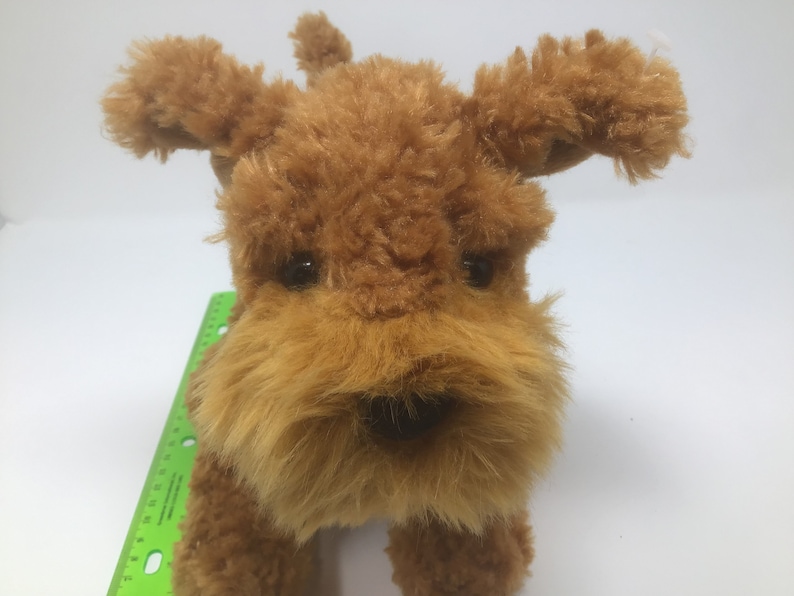 May include: A brown plush toy dog with a fluffy texture. The dog has brown eyes and a black nose.