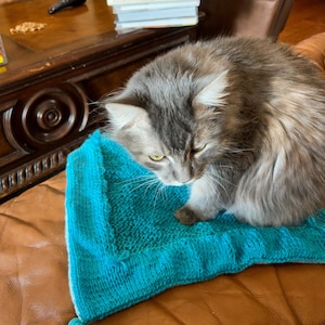 Cat scratching carpet, blanket, knitted