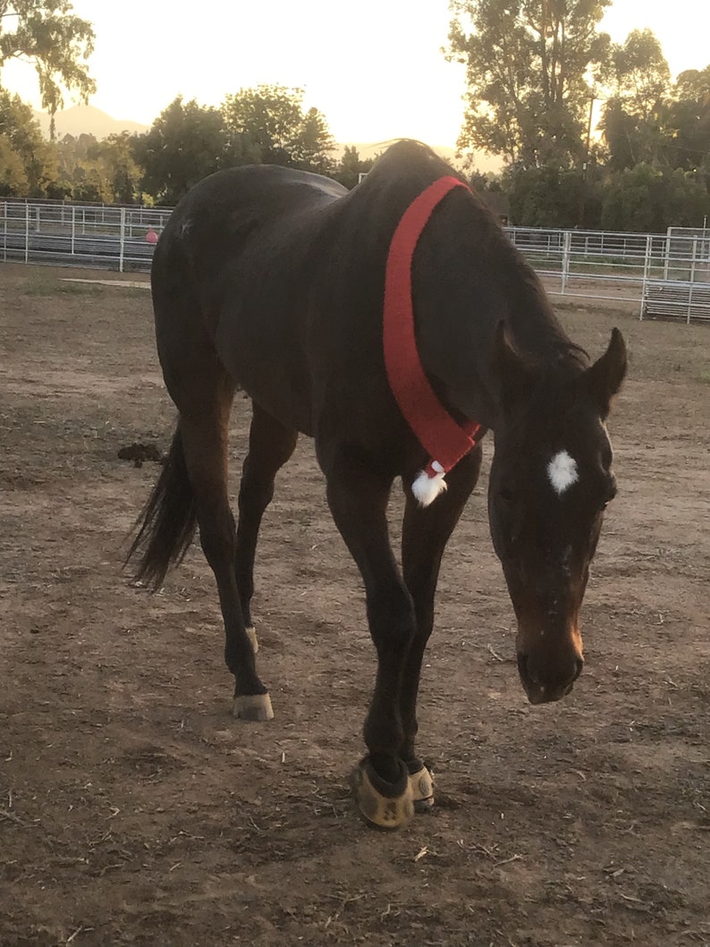 Op de afbeelding: Een bruin paard met een rode en witte kerstsok om zijn nek. Het paard staat in een modderige paddock.
