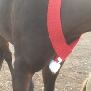 Op de afbeelding: Een bruin paard met een rode gebreide sjaal met een witte pompon.