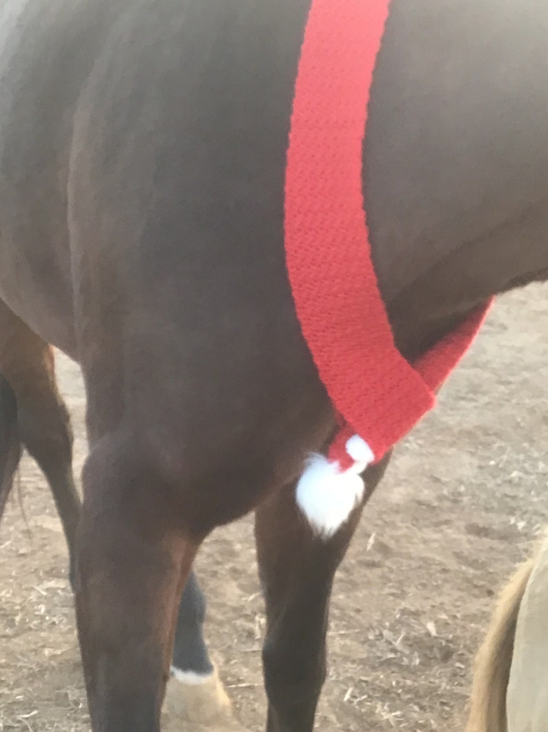 Op de afbeelding: Een bruin paard met een rode gebreide sjaal met een witte pompon.