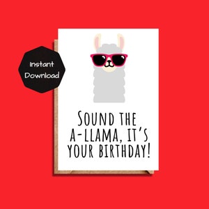 Printable Birthday Card Funny Funny Birthday Card - Etsy
