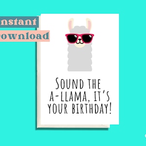 Printable Birthday card funny, Funny Birthday card, Downloadable Instant Download & Print, Funny Pun Birthday Card, Greeting Card