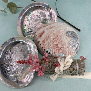 Natural Abalone Shell, Large, Ethically-Sourced, Use for Smudge Sticks, Palo Santo Blocks, Loose Blends, or as Crystal Container
