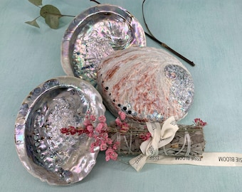Natural Abalone Shell, Large, Ethically-Sourced, Use for Smudge Sticks, Palo Santo Blocks, Loose Blends, or as Crystal Container