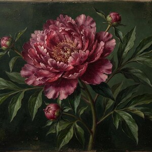 May include: An oil painting on canvas depicting a large, fully bloomed magenta peony flower at the centre, surrounded by three smaller, closed peony buds and dark green foliage, all set against a deep, dark forest green background.