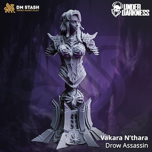 Puede incluir: Una miniatura gris de un Asesino Drow, llamado Vakara N'thara, impresa en 3D, que lleva una armadura intrincada y una base con temática de araña. La miniatura está diseñada para juegos de rol de mesa.