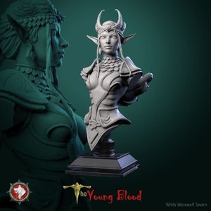Ysselara Stone Heart - Bust | High quality bust for miniature painting, collecting and display | 3d Printed Bust | White Werewolf Tavern