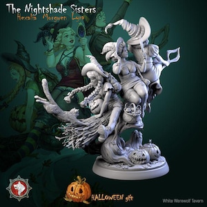 The Nightshade Sisters | High quality 75mm miniature for painting, collecting and display | 3d Printed Models | White Werewolf Tavern