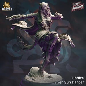 May include: A grey 3D printed miniature of a female elf dancer with long flowing hair, wearing a flowing robe and intricate jewellery. The miniature is posed in a dynamic dance pose, with one leg raised and the other bent. The miniature is standing on a small base. The text "Cahira Elven Sun Dancer" is printed below the miniature.