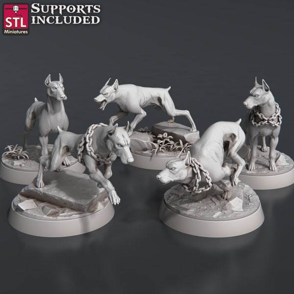Wild Dogs for Dungeons and Dragons, Frostgrave, Heroquest, TTRPG and Miniature Painting | NPC Characters | 32mm Miniatures