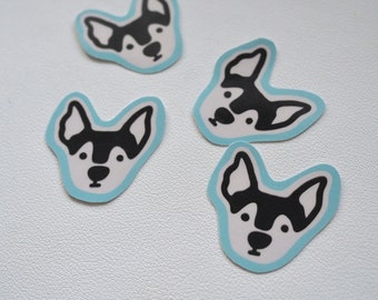 Chihuahua-vinylsticker