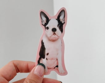 May include: A sticker featuring a black and white French bulldog puppy sitting on a pink background.