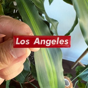 Los Angeles Soft Enamel Epoxy Coat Pin