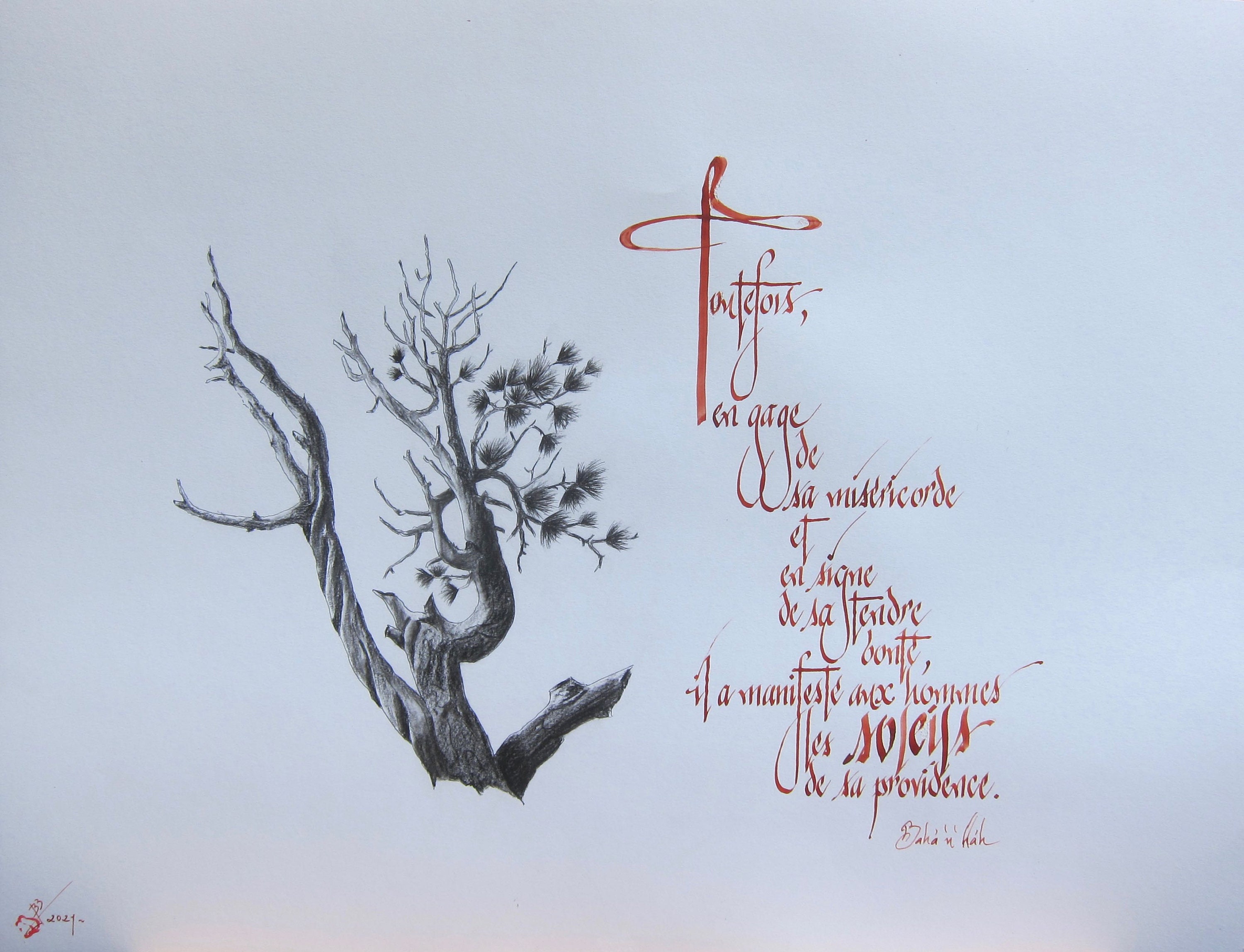 Calligraphie Latine Décorative