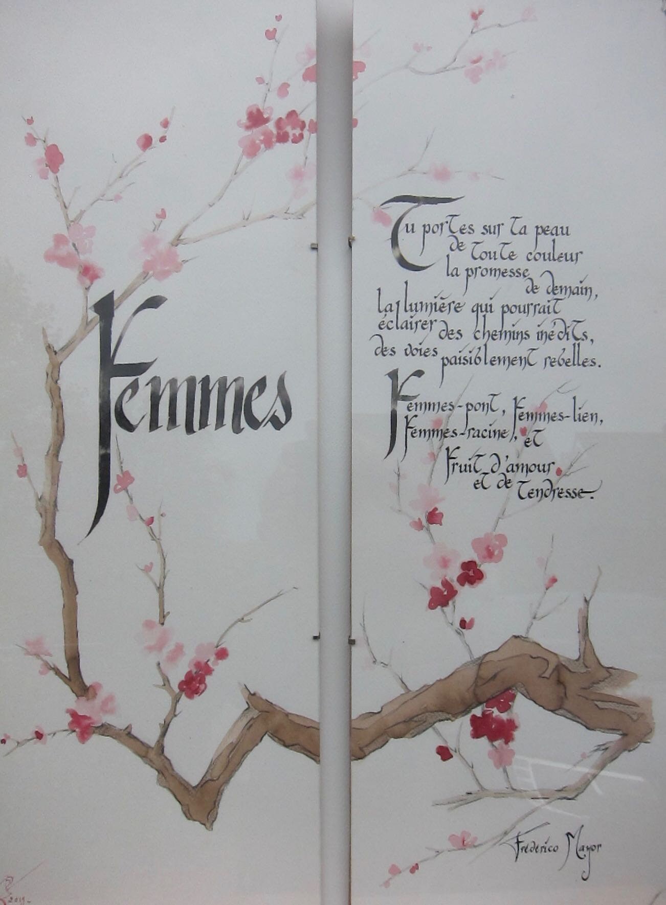 Calligraphie Latine Décorative