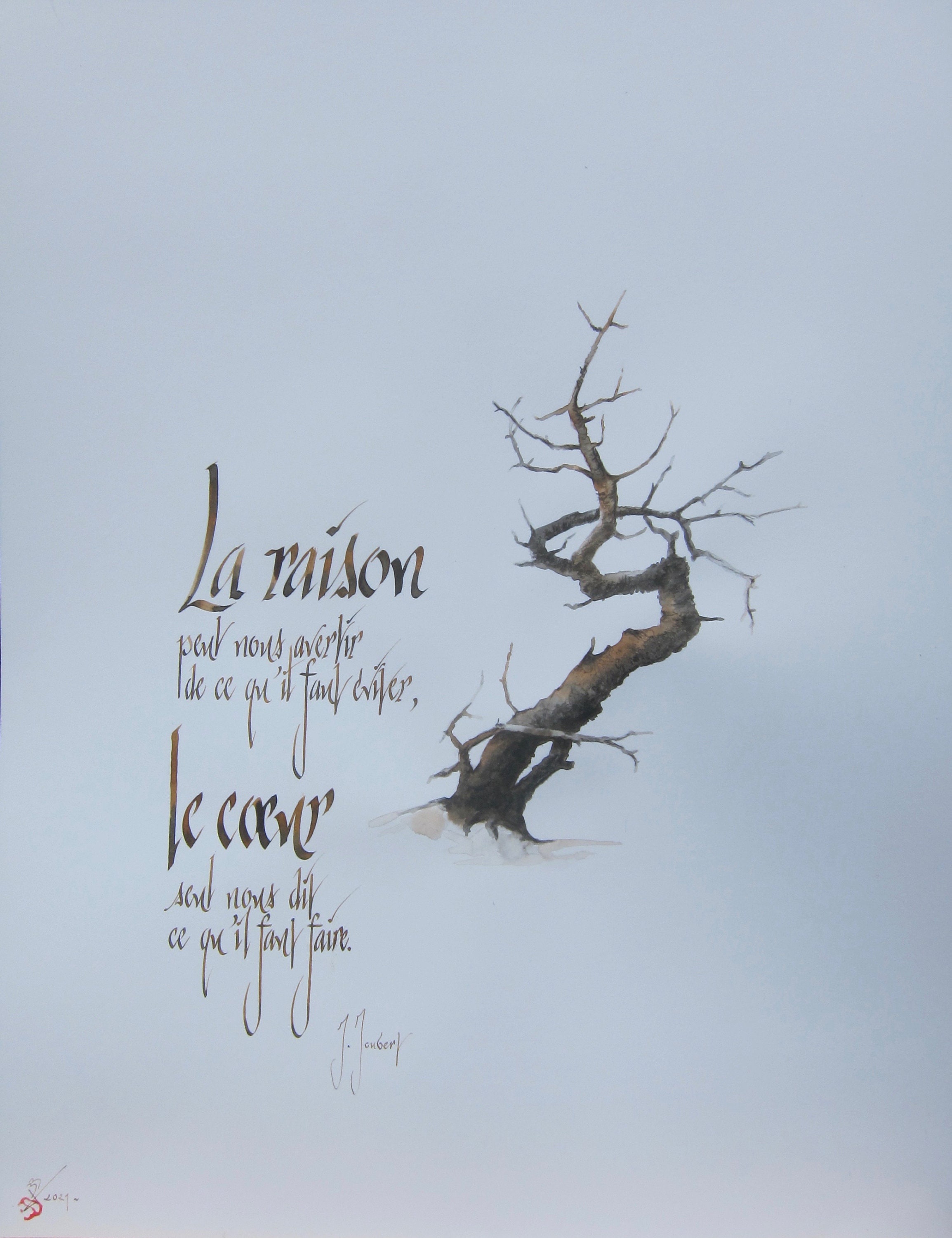 Calligraphie Latine Décorative