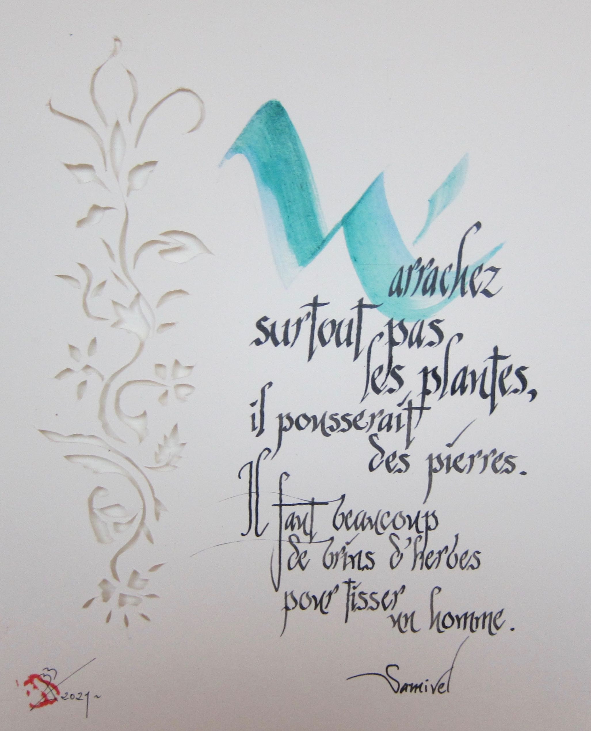 Calligraphie Latine Décorative