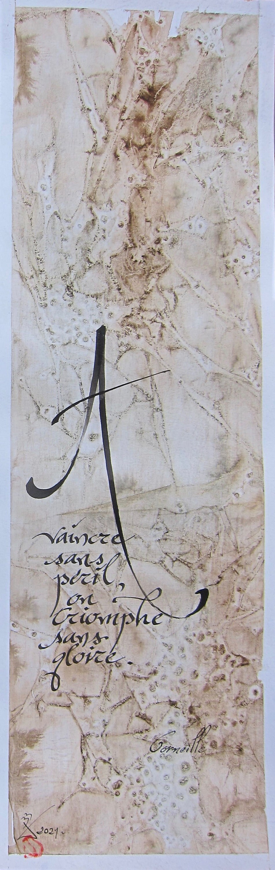 Calligraphie Latine Décorative