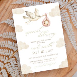 Stork Baby Shower Invitation Template, Special Delivery Stork Baby Shower, Gender Neutral Baby Shower, Printable Digital Baby Shower